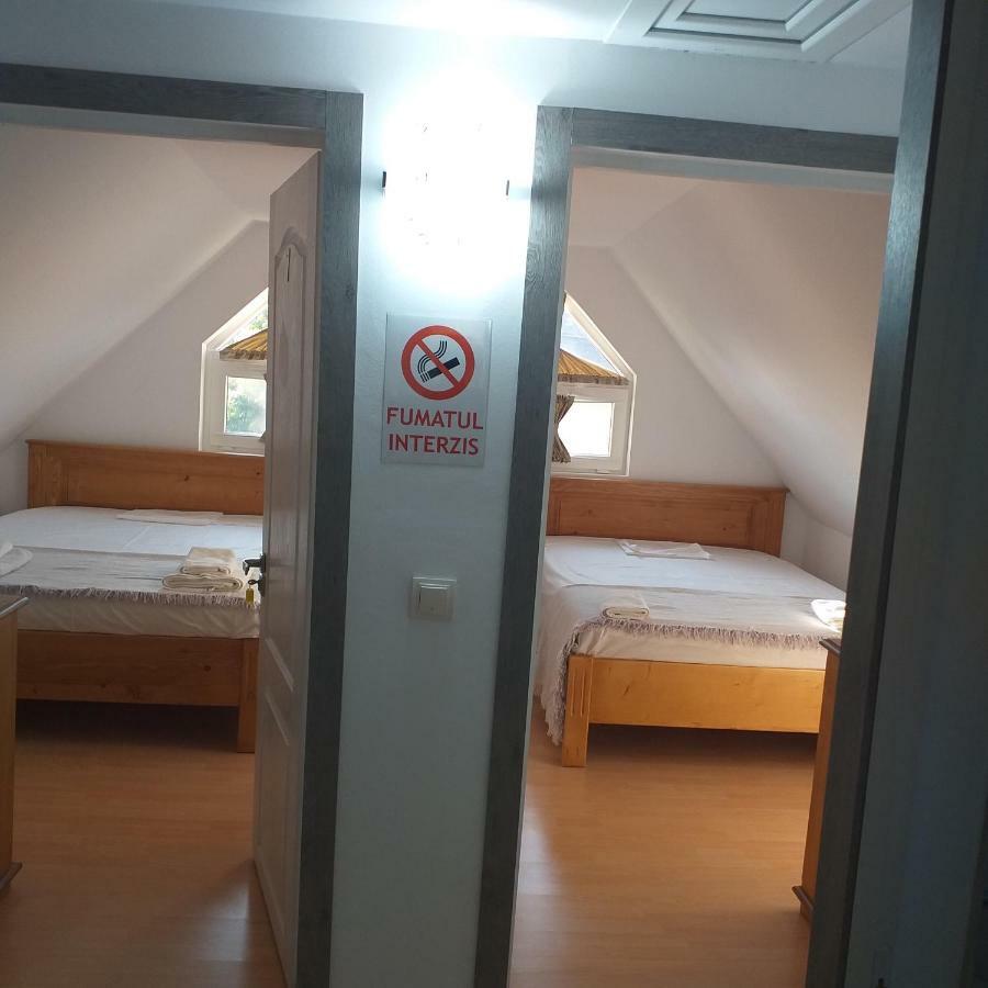 Pensiunea Casa Maria Vişeu de Sus Exterior foto