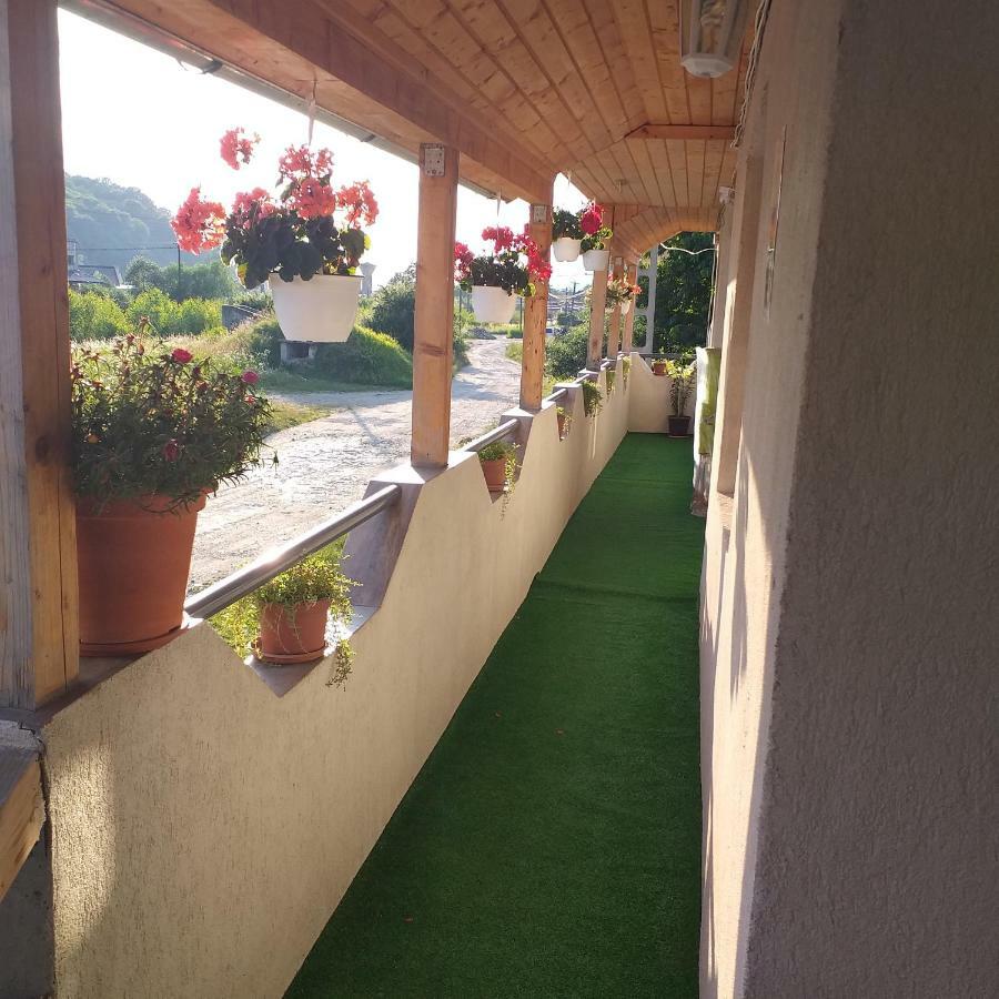 Pensiunea Casa Maria Vişeu de Sus Exterior foto
